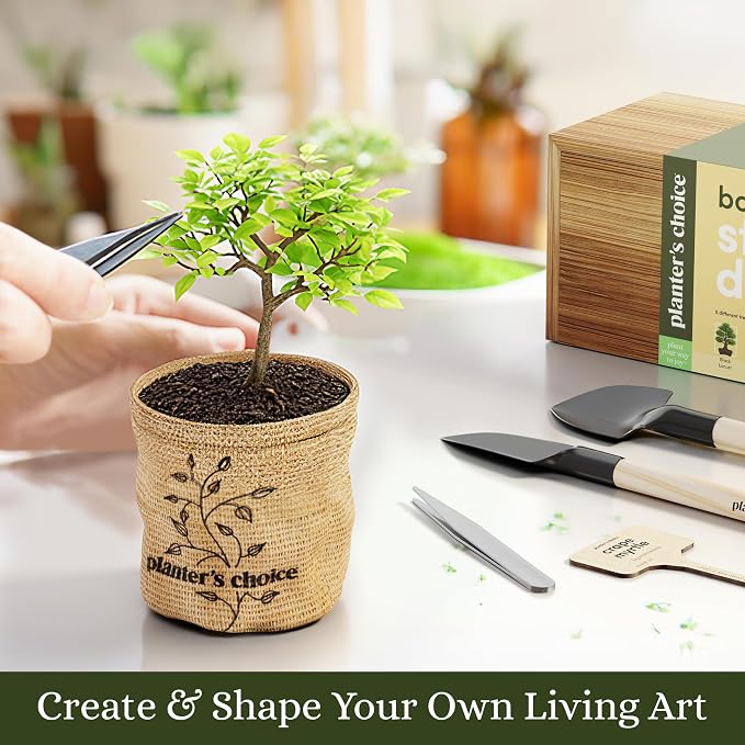 Planter's Choice Bonsai Tree Starter Kit - Image 7