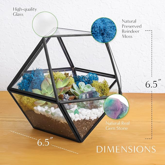 Creations by Nathalie DIY Geometric Glass Terrarium Kit - Image 5