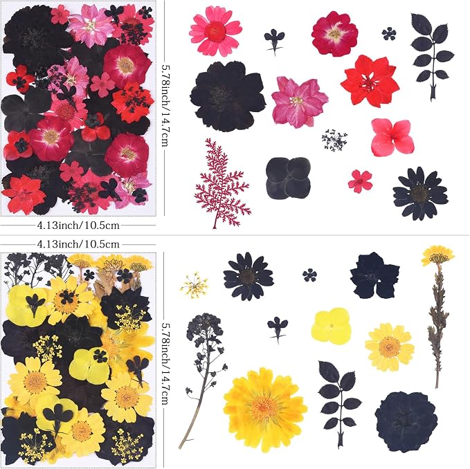 154Pcs Black Dried Pressed Flowers - Image 3