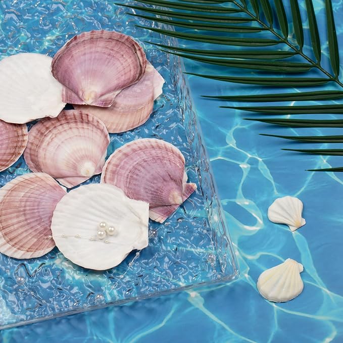 30PCS Natural Scallop Shells Purple Red Sea Shells, Real Seashells from Beach - Image 2