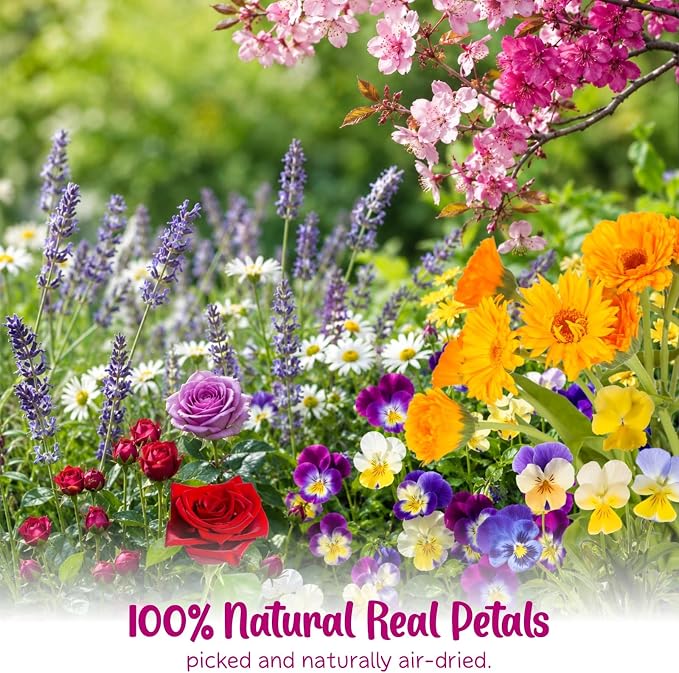 70 Pcs 11kinds Edible Dried Pressed Flowers - Image 7