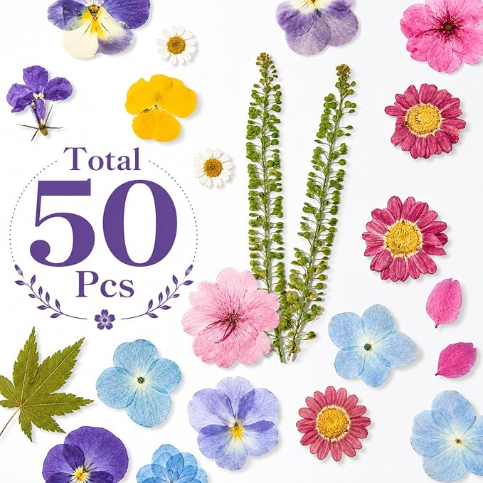 Real Dried Pressed Flowers for Crafts, Scrapbooking, Card Making, DIY - Image 6