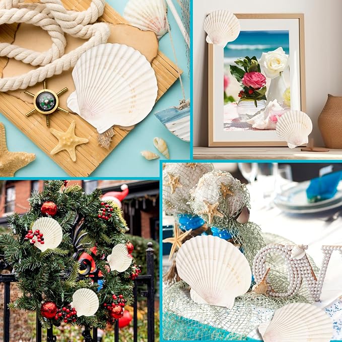 8 PCS Clam Shells for Crafts, Large Seashells for Crafts, Themed Party and Home - Image 6