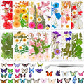 Fabbay 712 Pcs Dried Pressed for Resin by Fabbay
