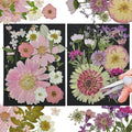 White Dried Pressed Flowers by CONVELIFE