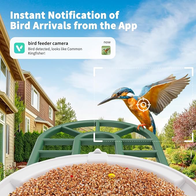 HARYMOR Smart Bird Feeder with Camera - Image 7