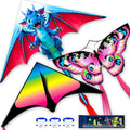 Kite for Ages 8-12, Single Line String Professional Kites for Beach and Outdoor by DoinFly