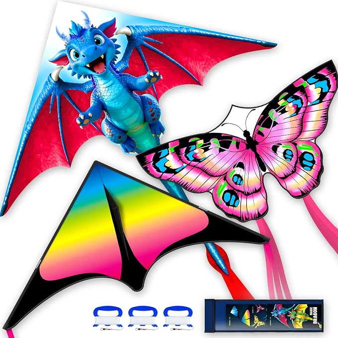 Kite for Ages 8-12, Single Line String Professional Kites for Beach and Outdoor by DoinFly