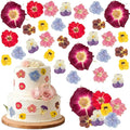 96 Pcs Natural Dried Pressed Edible Flowers by Unknown
