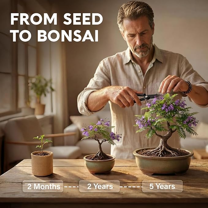 Bonsai Tree Kit Deluxe - Image 7