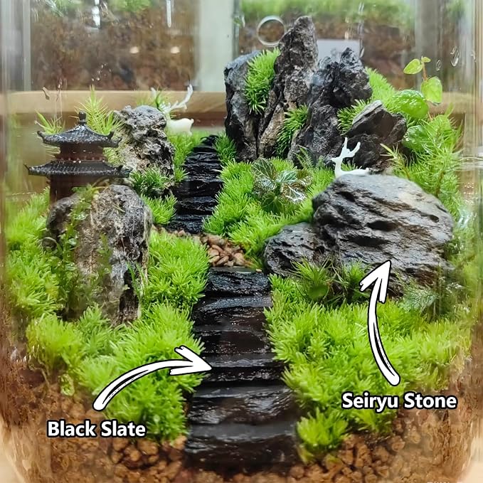 Natural Rocks Seiryu Stone 1-2.5 Inches Decorative Stones - Image 4