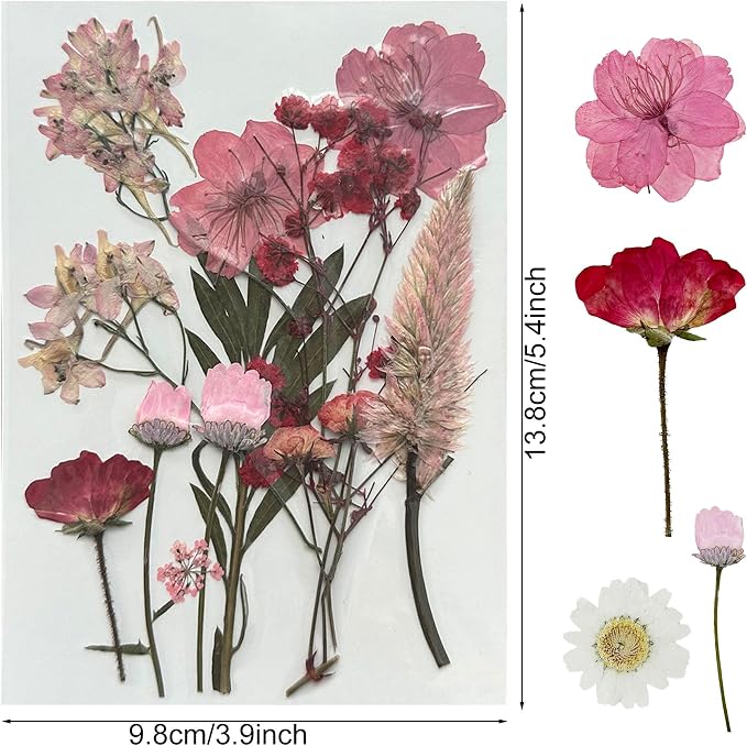 Woohome 4 Packs Real Pressed Flowers - Image 6