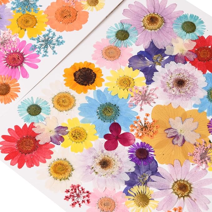 80PCS Multicolor Pressed Dried Flowers Dry Leaves | - Image 4