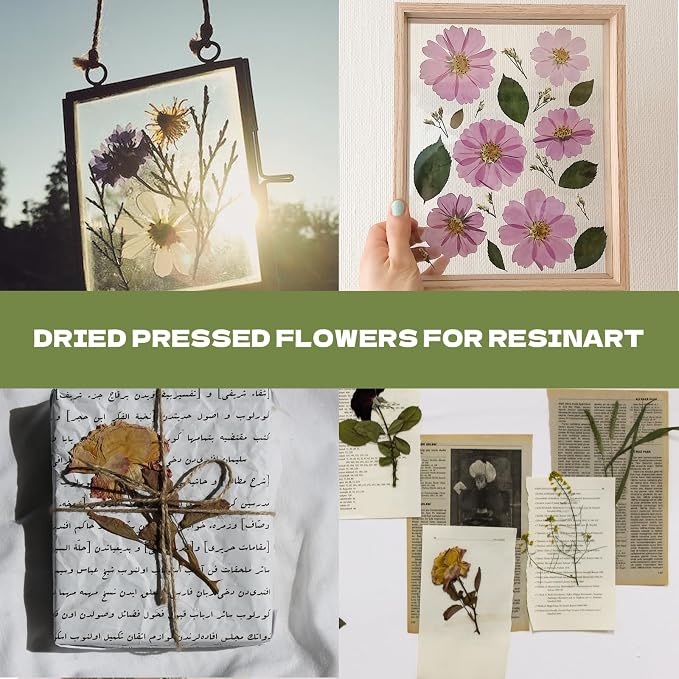 63 Pcs Pressed Leaves, 21 Styles Dried Flowers - Image 5