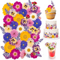 70 Pcs 11kinds Edible Dried Pressed Flowers by Unknown