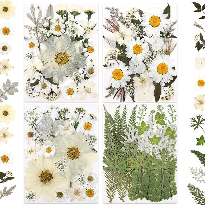 LUXEEASE 100P White Foliage Mix Dried Pressed Flowers | Blooms by LUXEEASE