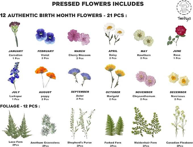 Twodays Birth Flower Mother's Day Craft Kit - Image 4