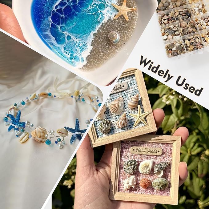 Small Sea Shells 1200Pcs Tiny Seashells Mixed Size Ocean Beach Starfish - Image 7