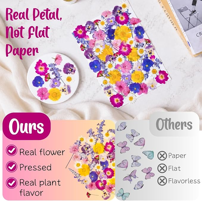 70 Pcs 11kinds Edible Dried Pressed Flowers - Image 6