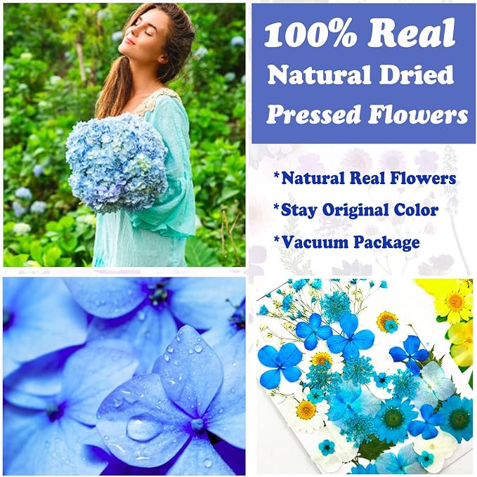 85 Pcs Blue Pressed Dried Flowers - Image 2