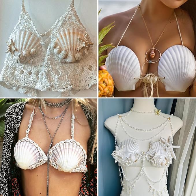 QEQEKAKA 6PCS Large Scallop Shells - Image 7