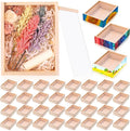 Thyle 36 Pcs Unfinished Wood Display Boxes by Thyle