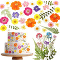 96 Pcs Natural Dried Pressed Flowers by Unknown