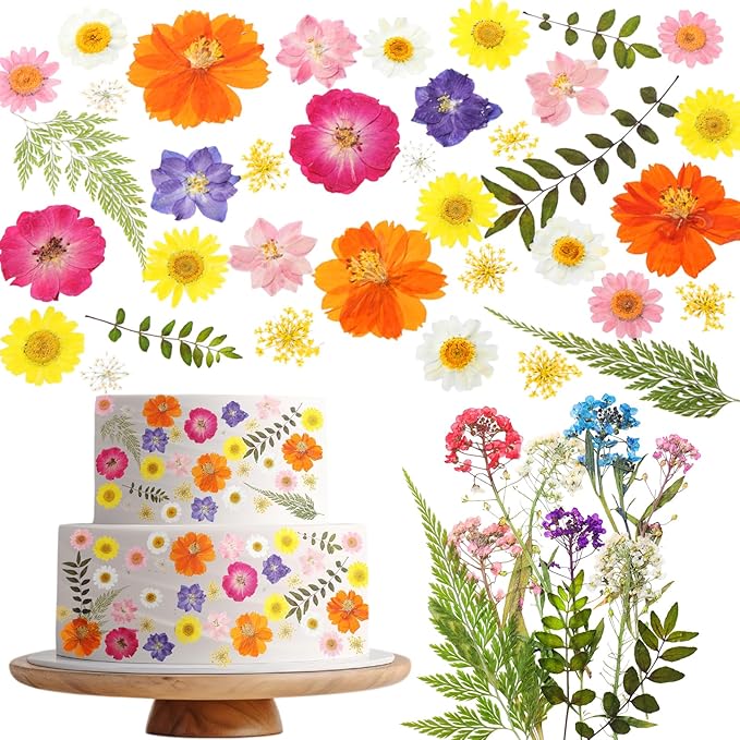 96 Pcs Natural Dried Pressed Flowers by Unknown