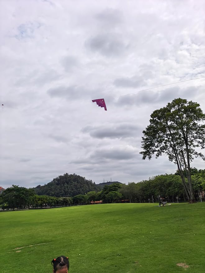 B2 Model Airplane Kite, Large Easy to Fly Kites Adults, 300FT String Reel - Image 4