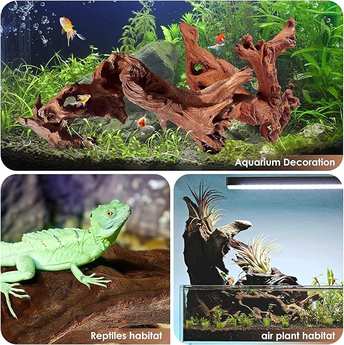 Azil Natural Driftwood 9''-12'' – Perfect Aquarium Decoration - Image 4
