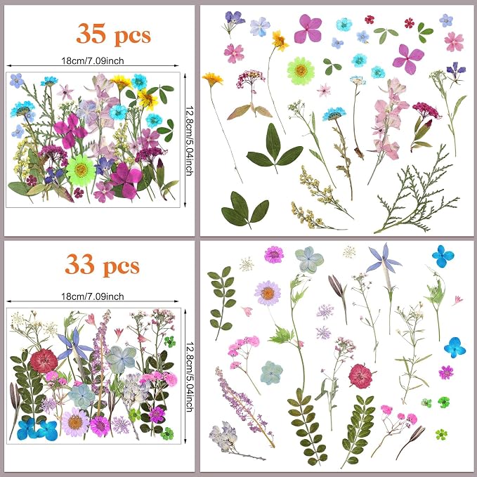 Nuanchu Small Dried Flower for Craft Resin Mini Pressed Flowers Bulk Real Tiny - Image 4