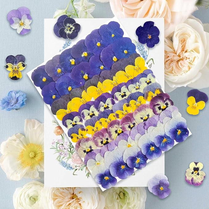48 Pcs Real Natural Viola Pansy Dried Pressed Flowers - Image 6