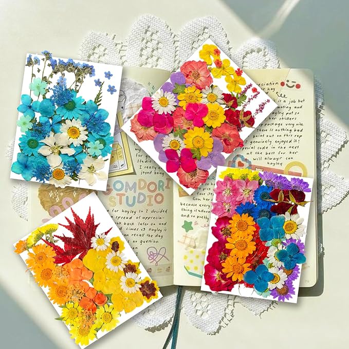 191PCS Real Nature Dried Pressed Flowers - Image 2