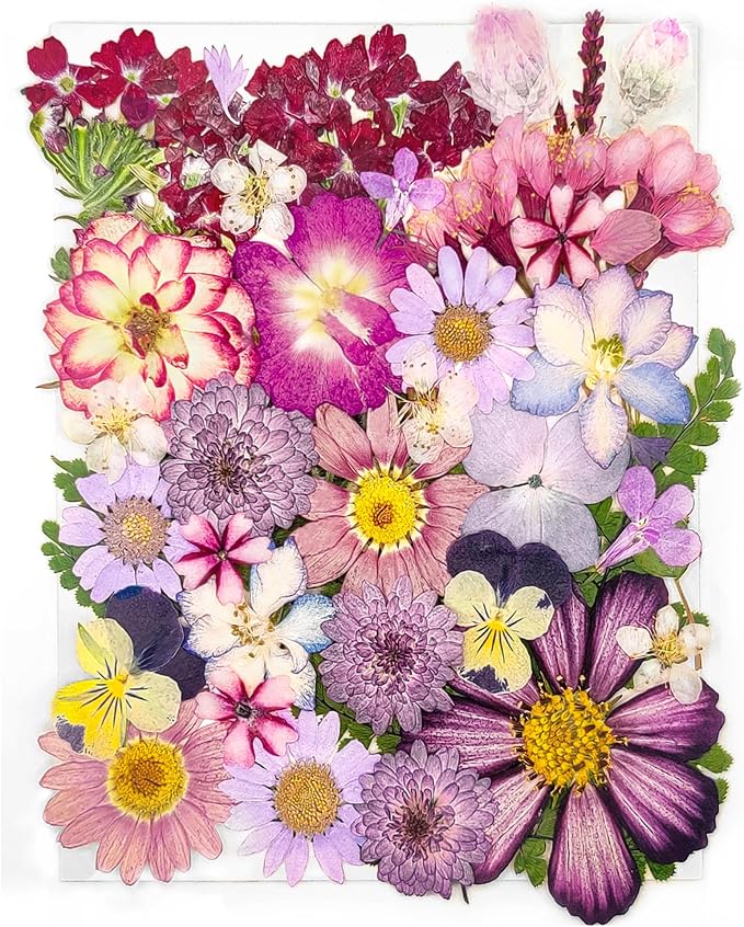 18 Types 37pcs Purple Dried Pressed Flowers by YouthBro