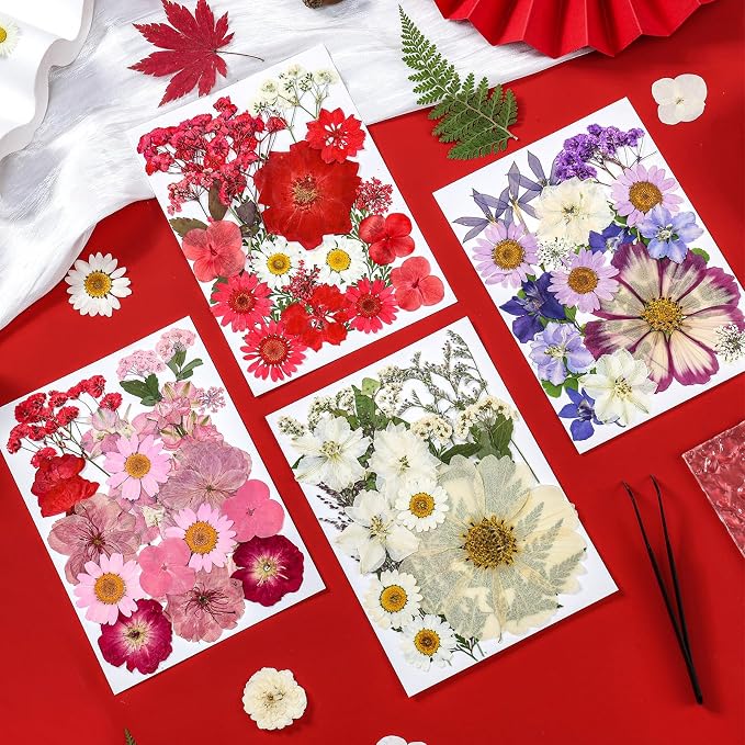 85Pcs Pressed Flowers for Crafts, Real Dried Flowers for Crafts Dried Pressed - Image 3