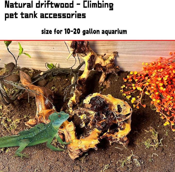 Hamiledyi Aquarium Driftwood 3PCS Natural Trunk Driftwood Assorted Branches - Image 5