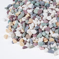 Pulovin 2.5 lbs Pea Gravel for Plants, Fish Tank, 3/8 inch Decorative Pebbles by GardenSteward