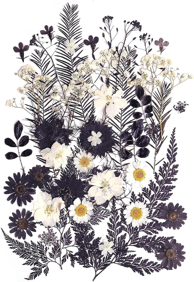 12 Types 48PCS Real Dried Pressed Flowers by AHTONG
