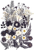 12 Types 48PCS Real Dried Pressed Flowers by AHTONG