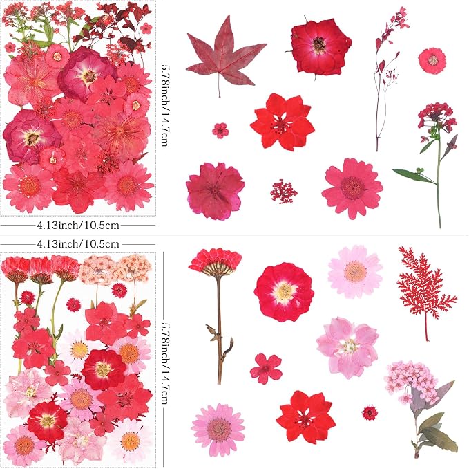110Pcs Red Dried Pressed Flowers - Image 3