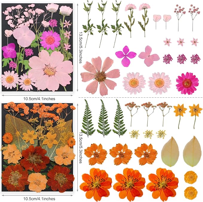 285Pcs 9 Packs Mixed Types Real Natural Dried Pressed Flowers & Leaves - Image 6