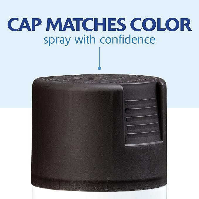 Rust-Oleum 334064-6PK Painter's Touch 2X Ultra Cover Spray Paint, 12 oz - Image 7