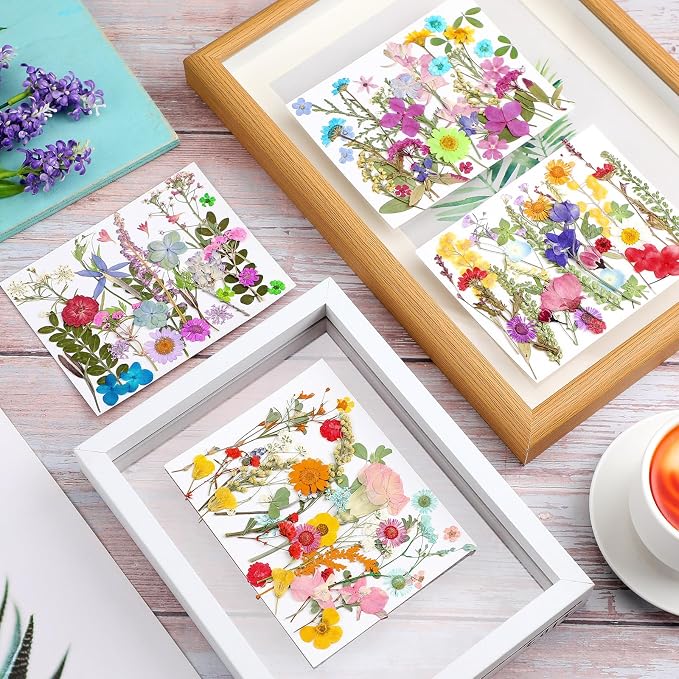 Nuanchu Small Dried Flower for Craft Resin Mini Pressed Flowers Bulk Real Tiny - Image 2