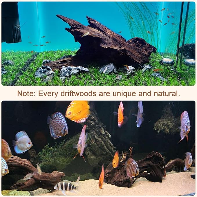 LYPHARD AQUARIUMS Natural Driftwood - Image 3