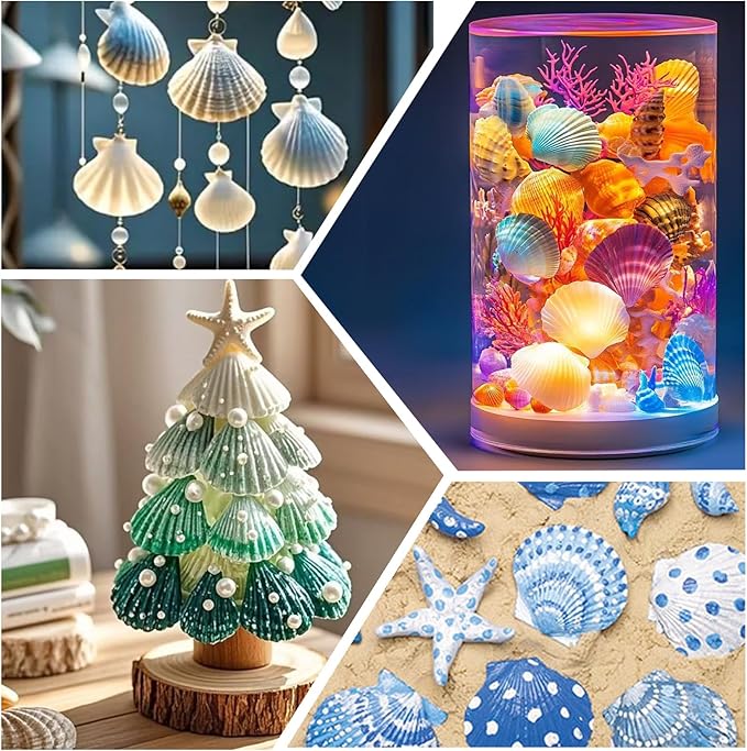 30PCS Natural Scallop Shells 2.3''-3'' White Sea Shells - Image 6