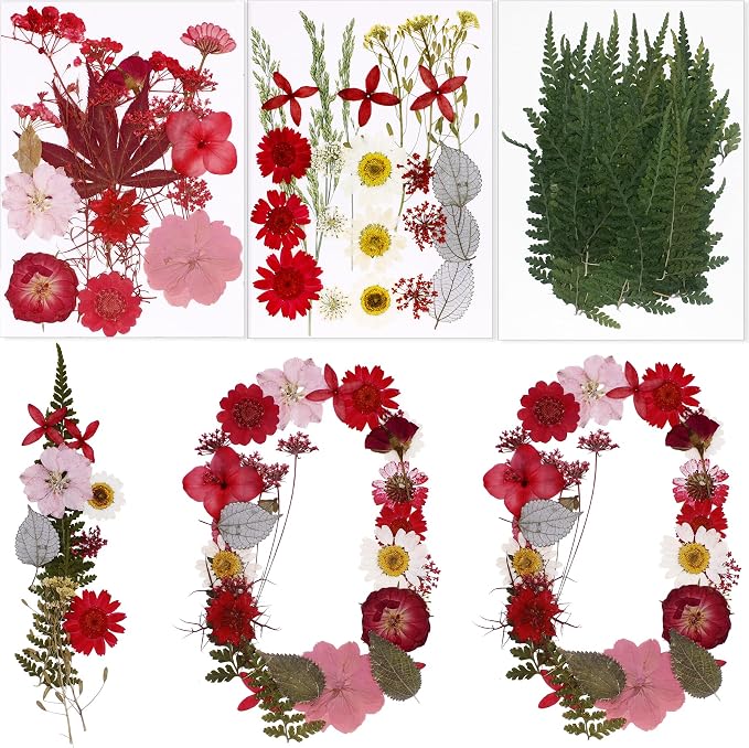 BIHRTC 100pcs Dried Pressed Flowers Red Real Pressed Colorful Flowers Dry by HOME