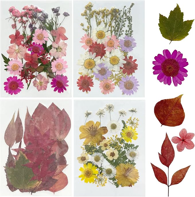 Woohome 91 PCS Natural Dried Pressed Flowers and Leaves by Woohome