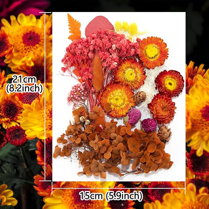 Vignee Real Dried Pressed Leaf Flowers-Multiple Colorful Pressed Flowers Daisies - Image 2
