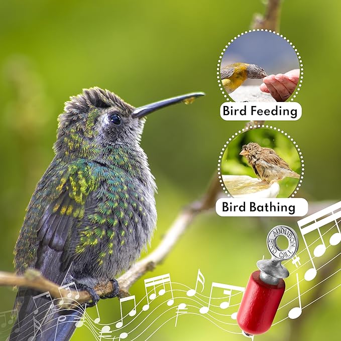 Audubon Bird Call - Image 3