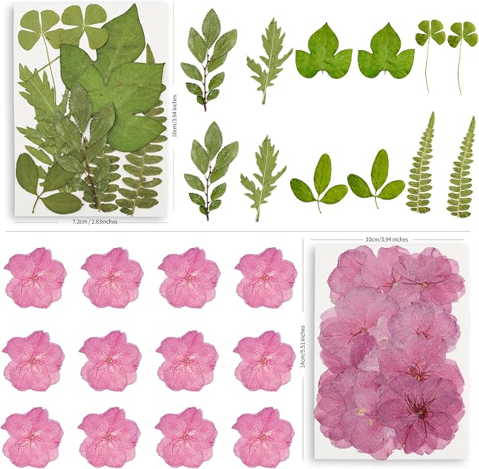 95PCS Dried Pressed Flowers for Crafts - Image 7